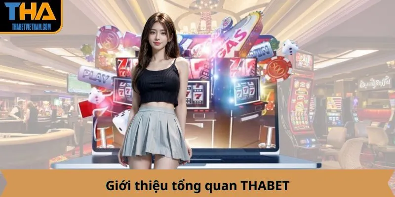 Giới thiệu tổng quan THABET